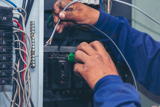 Best Generator Installation Services  in Lakewood Park, FL